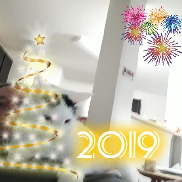 Meet your Posher, Lori - Picture 1 of 1